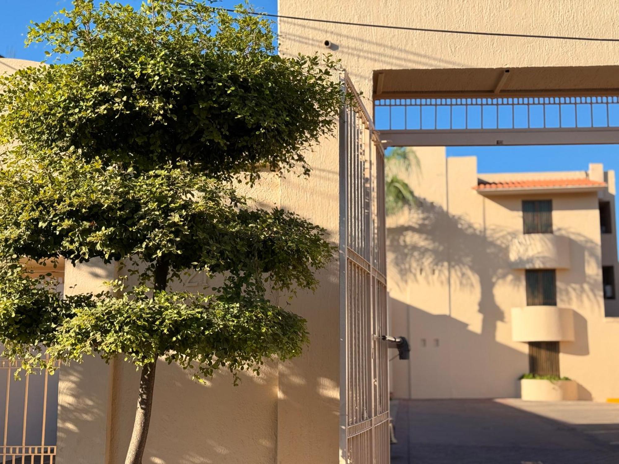 Villa La Palma Hotel 테킬라 외부 사진