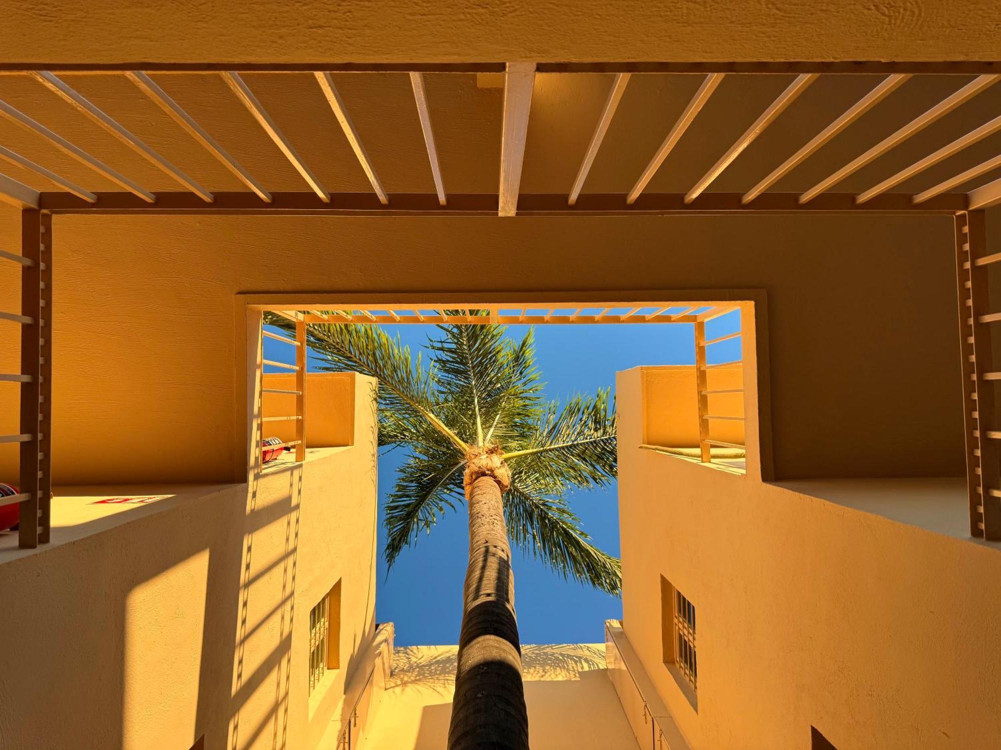 Villa La Palma Hotel 테킬라 외부 사진