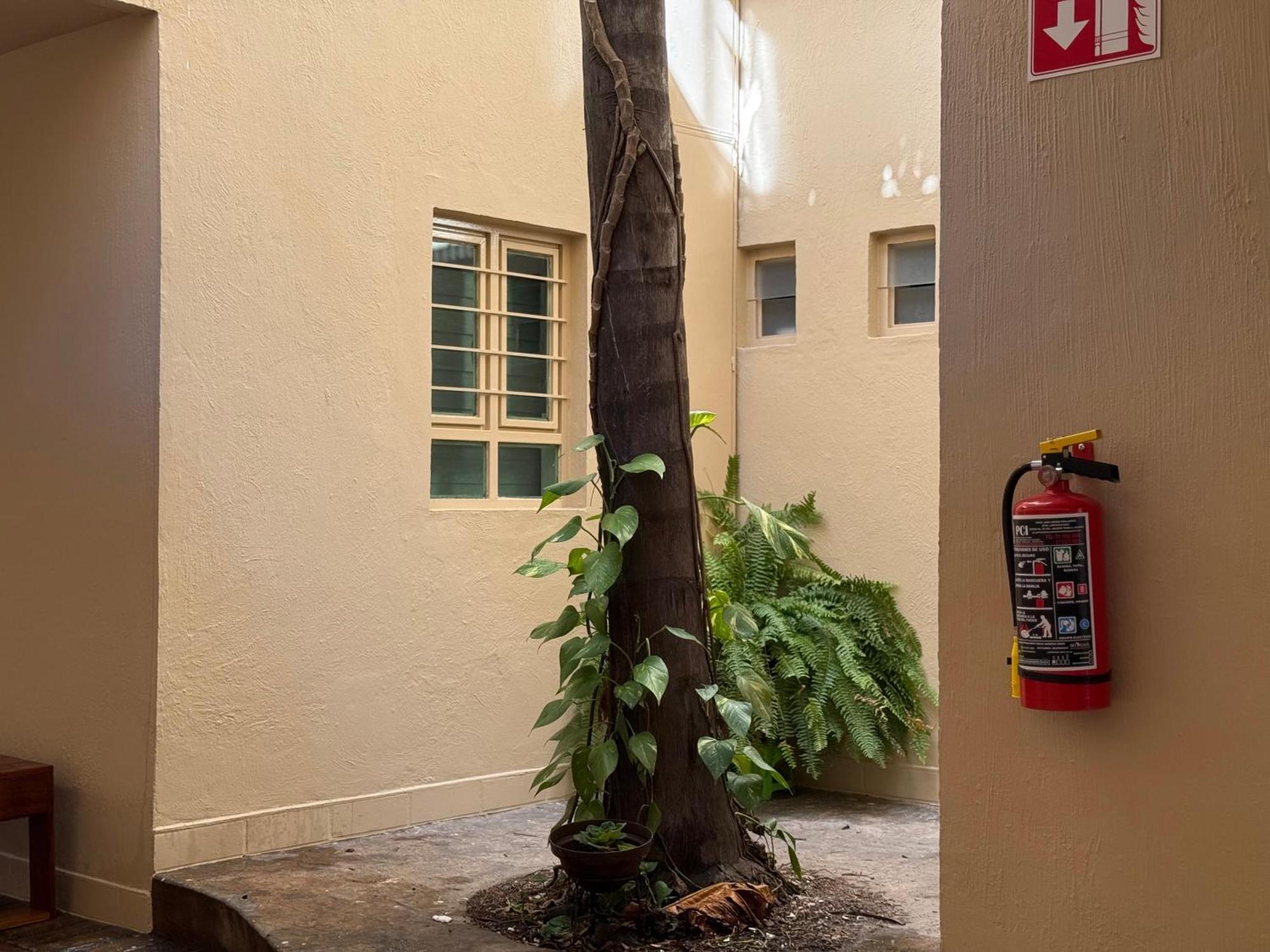 Villa La Palma Hotel 테킬라 외부 사진