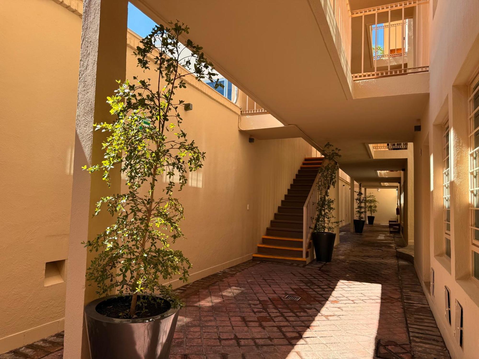 Villa La Palma Hotel 테킬라 외부 사진