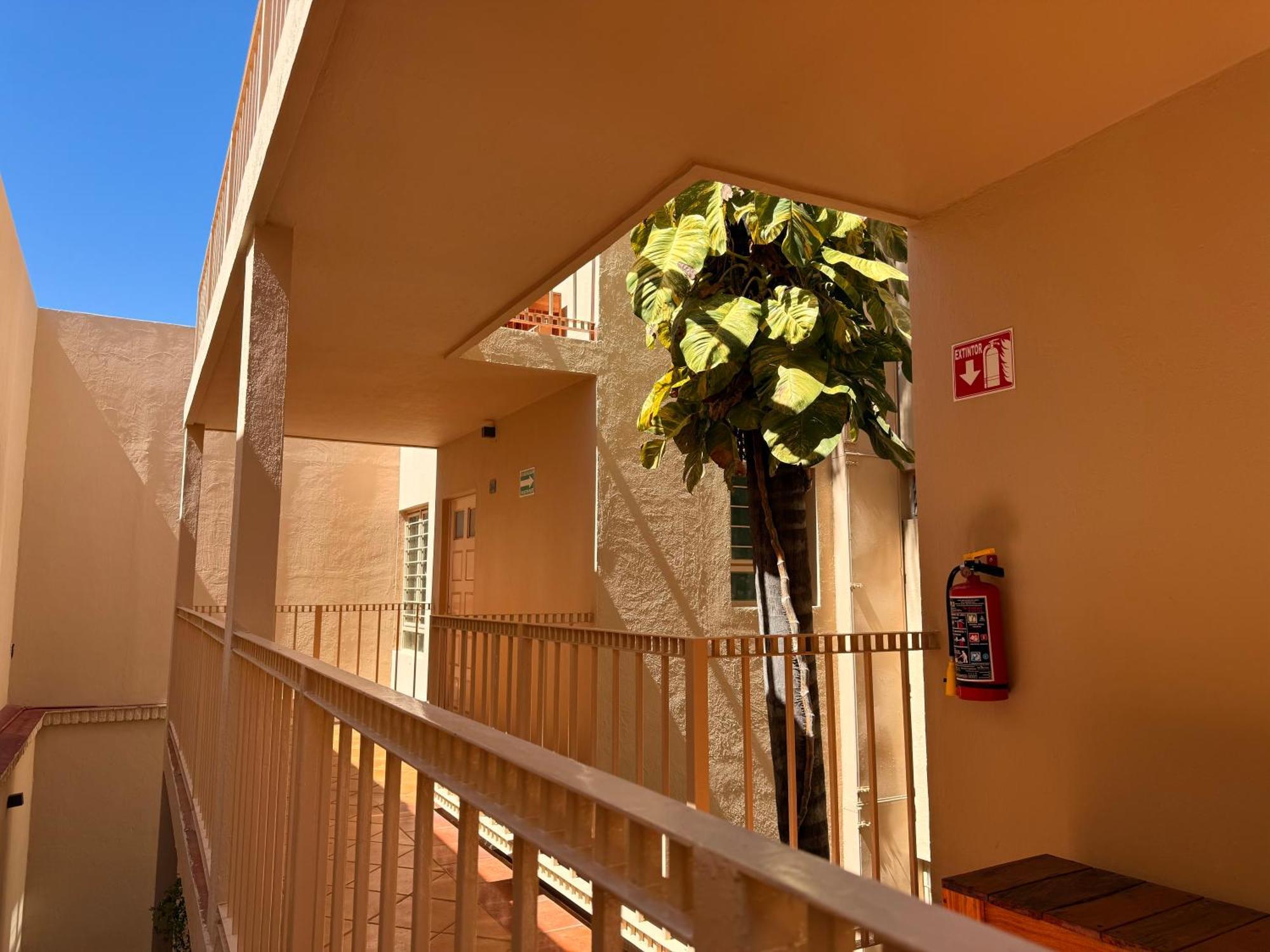 Villa La Palma Hotel 테킬라 외부 사진
